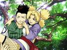 shikamaru a temari